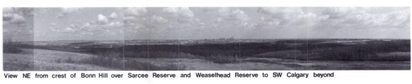 1984_reserve_view